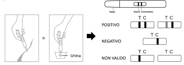 Verify® Self Test Gravidanza